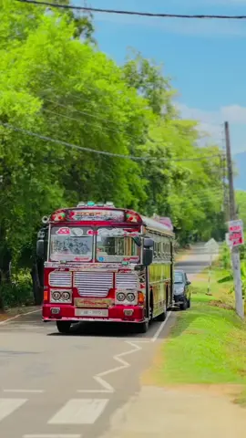 සමහර වාහාන තියෙනවා එවා දැක්කාම අපෙ හිත පිරෙනවා 🥺❤️🫶🏼 #මායා_red_heart #නිල_පබළු_red_edition_මායා 