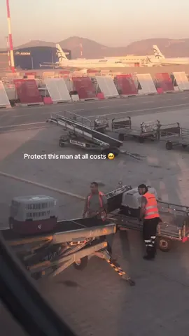 I was so worried to fly with my dog but spotting his reaction made me feel so much better 🥺❤️ #flyingwithdogs #pettravel #protectthisman 