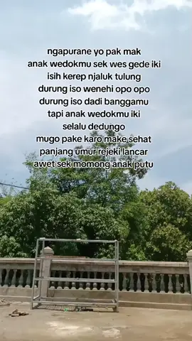 #katakatajowo #ffyyyppp #fffyyyppppp 