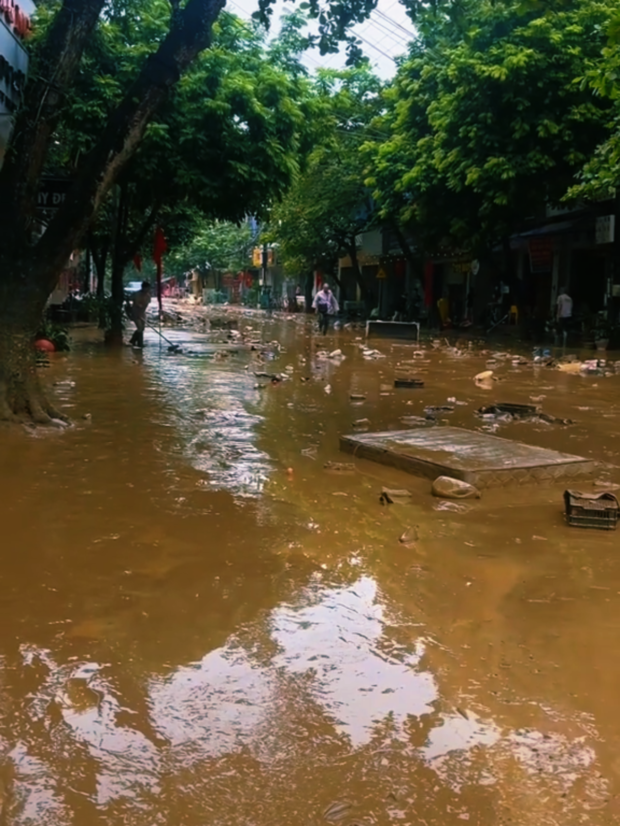 Nước Rút Công Tác dọn dẹp Bắt đầu thôi #canhđepthiennhien #canhđepthiennhien 