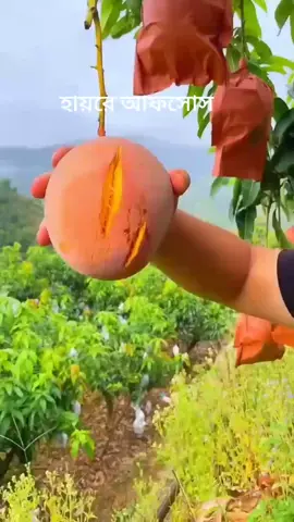 ভাই কাউকে গালিগালাজ করিও না @তাকওয়ার দাওয়াহ 