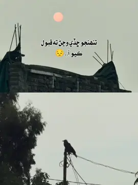 😭😭#foryoupage #sindhiaesthetic👑 #fypppppppppppppppp #sindhi #fypシ゚ 