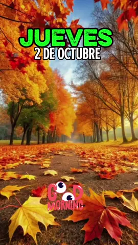#CapCut #buenosdias #feliz #jueves #bendiciones🌹❤️🙌🏻🙌🏻🙏 🙌🙏❤️🍁