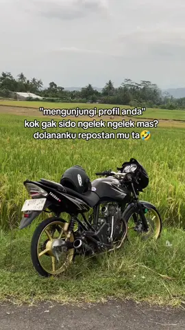 perkarane opo bos kok nganti sewot ngunu🤣🤣 #fyp #tigerpc #gl200 #herex #bna 