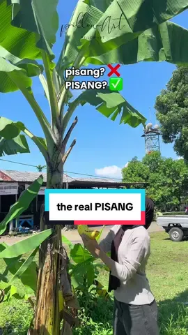 yang ini bukan pisang tapi PISANG 🥰🍌 #bantal #pisang #unik #fyp #pillowart 