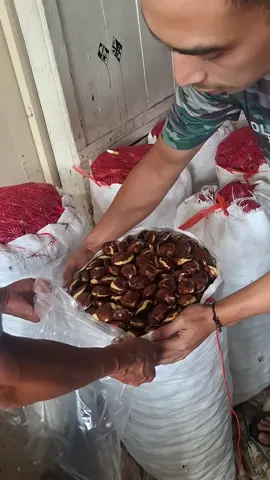 jengkol superrrrr #aajengkol  #fypシ゚viral 