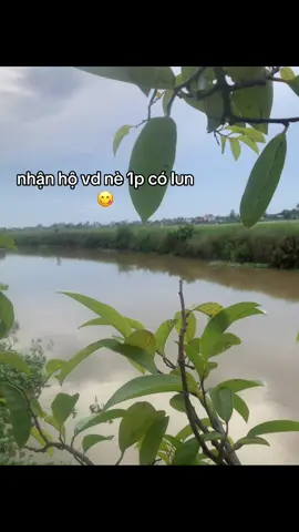 #xhuong #hộ 