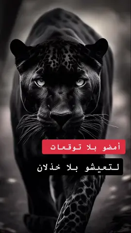 هذا اليوم #fypシ #وهيكااا🙂🌸تابعووني🙂💔 #مشاهداتكم⬆️⬆️⬆️⬆️⬆️⬆️ #في هذا اليوم 