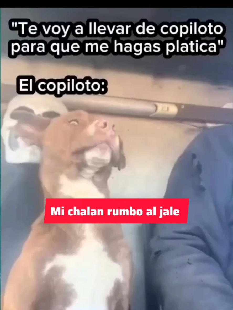 El Chalan en Estados Unidos...😂🤣