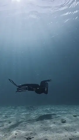 ketika cosplay langsung lagu#wildflower #billieeilish #fyppppppppppppppppppppppp #freediving #sea 