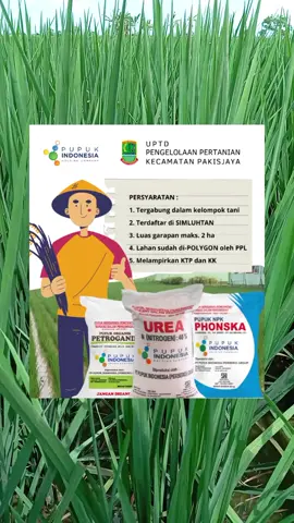 Tahapan Penyusunan RDKK Pupuk Bersubsidi Tahun 2026 #ppltalagajaya  #penyuluhanpertanian 