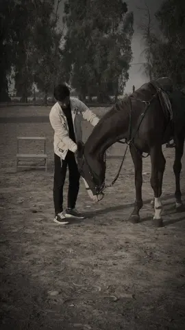 #ابن_نعيمه #لايك #شعب_الصيني_ماله_حل😂😂 