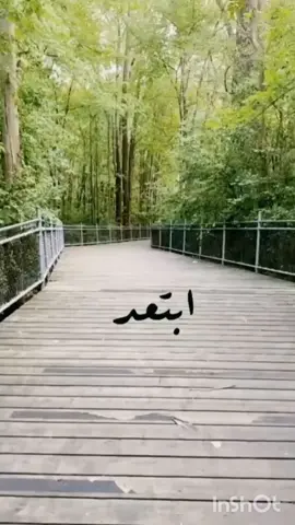 #في هذا اليوم 