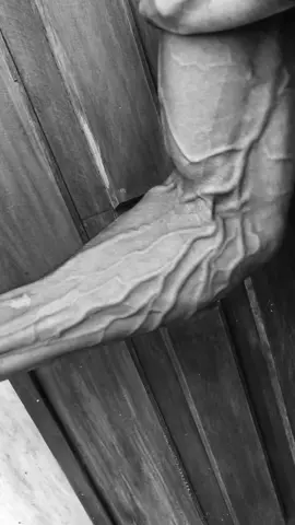 ලොල්ලෝ ලයික් කරන්නැති ඒවා 😌🤌 #veinyhands #veinyarms #nahara #fypage #viral 