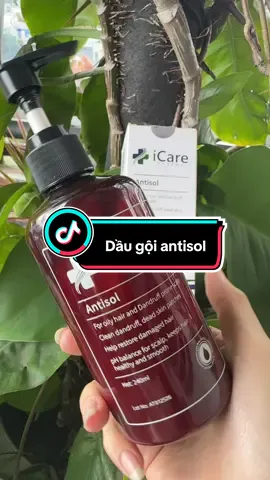 Dầu gội antisol giúp giảm gàu ngứa #tiemdaugoitrigau #antisol #daugoitrigau #icare #daugoiantisol 