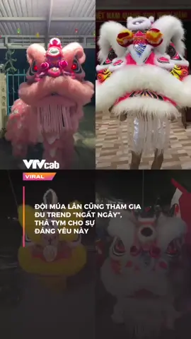 dễ thương quá nè #xuhuong #vtvcab #viral #hhn 