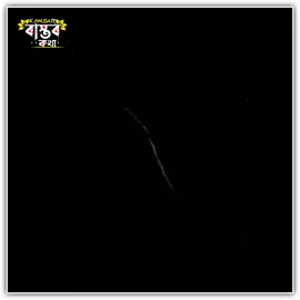 প্রচন্ড মন খারাপে যখন মেন্টালি সাপোর্ট দেওয়ার মতো কেউ থাকেনা ! #foryou #foryoupage #lyricsvideo #fyp #bdtiktokofficial @TikTok @TikTok Bangladesh 