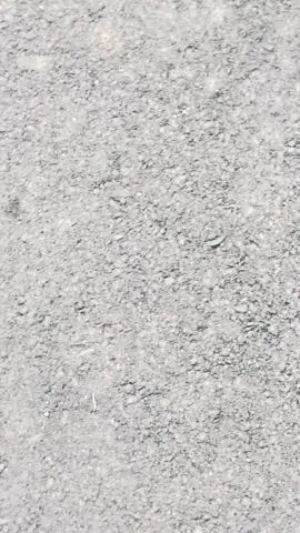 #promomakangajian #mxkingsolostyle #tubrukgank #fyp #mxking150 