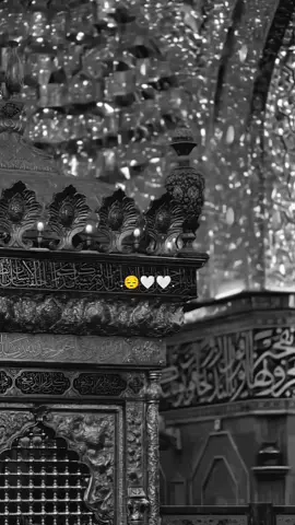 اجيتك واكف بابك دخيل..♥️. . . . . #الامام_العباس_عليه_السلام🍂 #fyqシ #الامام_الحسين_عليه_السلام🍂 #fyp #اهل_البيت_عليهم_سلام 