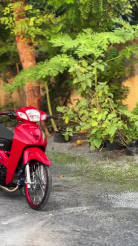 🥰#เวฟดิวะ💯 #4วาล์วไทยแลนด์🇹🇭 #125ไทยแลนด์🇹🇭 #125หัวเถิก 