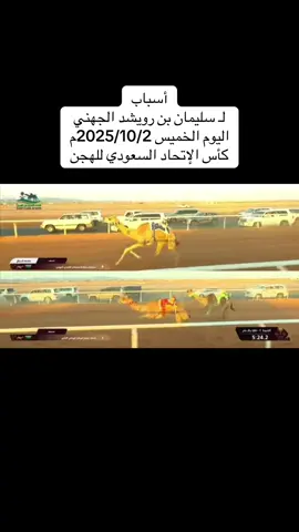 #هجن_جهينه #الجهني #هجن_بن_رويشد #اكسبلورexplore #هجن_الاصايل 