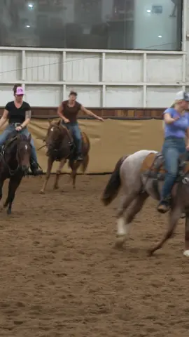 Right from the beginning, practice getting your colt comfortable loping on a loose rein so that he learns to relax and develops a smooth cadence at the gait.   Get a behind-the-scenes look at a colt starting training session at the ranch. Watch the full training session “Training Session # 1: Riding” now on the NWC website or the DUH app. #applythemethod #downunderhorsemanship #clintonanderson #colt #horse 