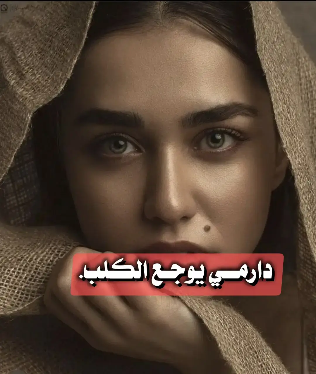 دارمي يوجع الكلب#شعر #الشعب_الصيني_ماله_حل😂😂 #fyp #foryou #شعراء_وذواقين_الشعر_الشعبي🎸 