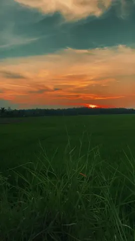 #CapCut This song .#capcutradio #faded #capcutpioneer #pioneertemplate 