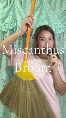 Soft, matibay at di kumakapit sa buhok at talagang magaan lang gamitin #walistambo #walistambomatibay #broom #miscanthusbroom #walistambomakapal 