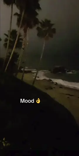 👌 #ladygaga #fyp #ladygagafan #ladygagamayhem #gay 