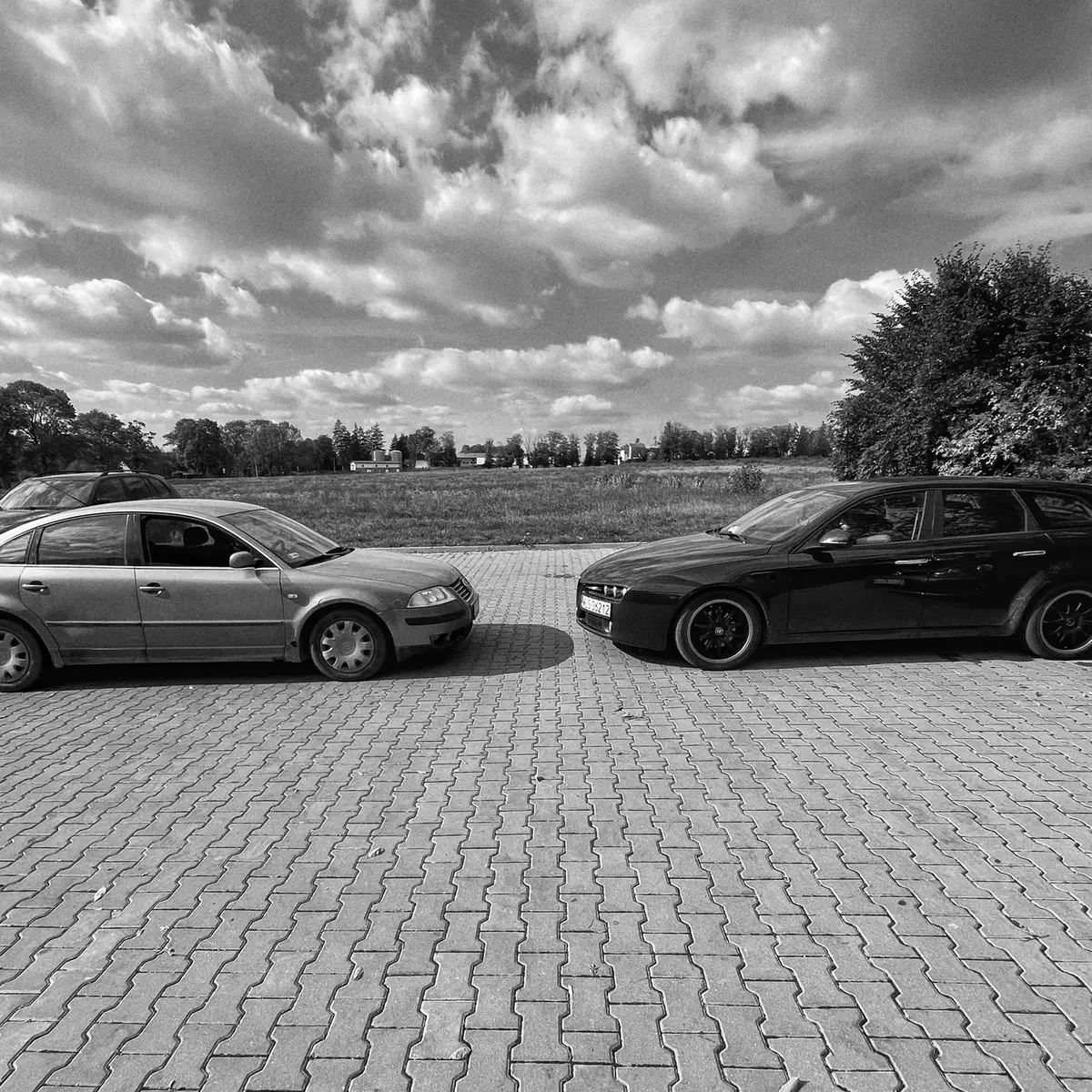 #passat #alfa