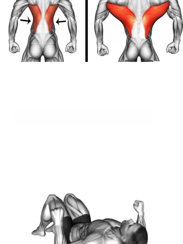 How To Get Bigger Back 🔥 #exercise #Fitness #gym #GymTok #workout #muscle #workoutroutine #fitnesstips #backworkout