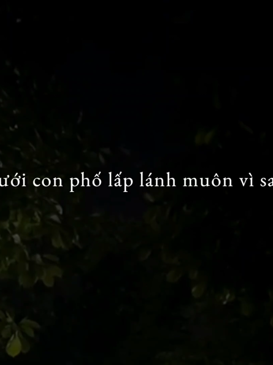 Dưới con phố lấp lánh muôn vì sao🌷...