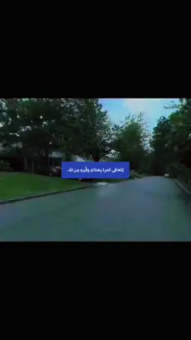 #الصلاة_ثم_الصلاة_ثم_الصلاة #قران_كريم #نعمه #rypシ #ry @,سعد الغامدي @القارى بلال دربالي @قرأن كريم @اطمئنانٌ لقلبك 🤍🦋 @رمـ༈ۖ҉ـاد 🖇 