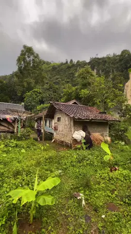 rumah rumah yg ramah di dalam lembah,di kelilingi tebing dengan air terjun🍃#suasanapedesaan #tinggaldikampung #nostalgia90an #fyp #xybca 