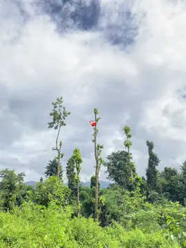 ❤️‍🩹 #LalitThakuri #viral #foryou #foryoupagе #flpシ 