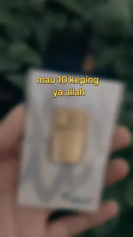 nglunjak dikit gapapa kan #logammulia#investasi#emasantam#winsgold 