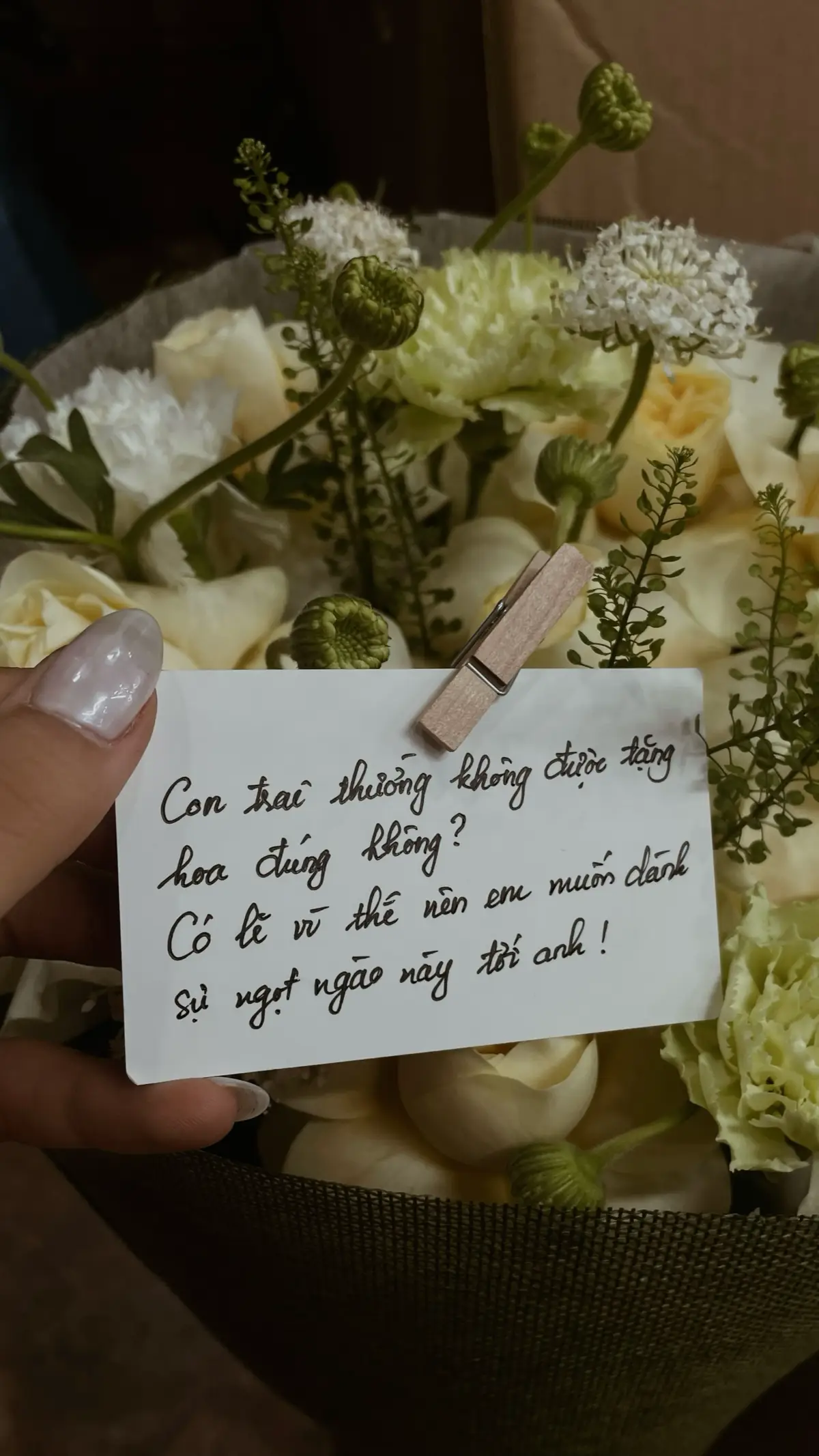 🥺 #hoahanoi #hoa #xh #viral #hoatuoi 