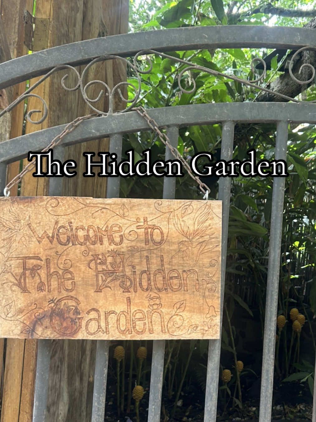 A plant lovers dream 🤩 #thehiddengarden #sanmarcoslalaguna #guatemala #travel #plants 