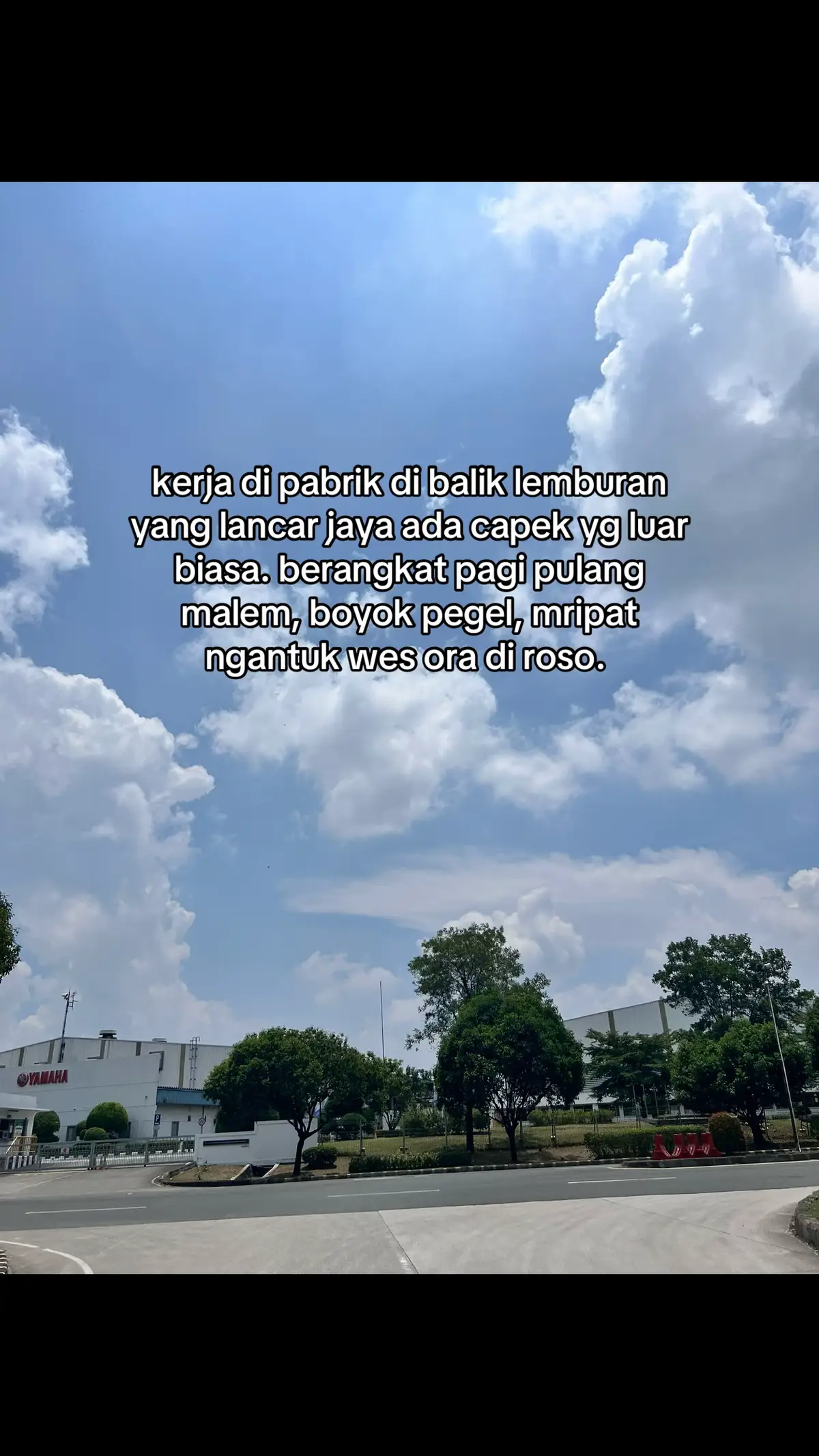 #kulipabrikhitz #storykerja #fypシ゚ #fypシ゚viral #fypシ゚viral🖤tiktok 