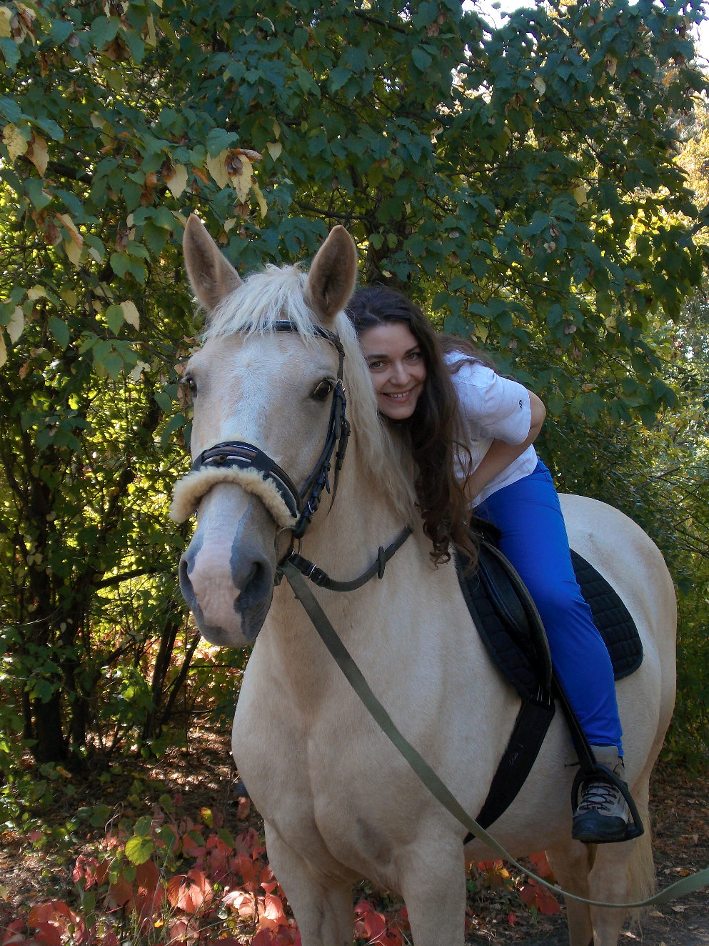 Кінний клуб Стайня Дракона 💙  Харків 🇺🇦 Запрошуємо вас на чарівну прогулянку разом з нашим дракоником 😍  наш Інстаграм dragon.stable0 💌 telegram DragonStable 💌  #кіннийклуб #харків #відпочинок #харьков #Фотосесія 