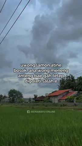 angel bae menusa #indramayu #indramayuviral #reels #fyp 