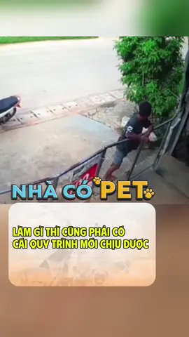 làm gì thì cũng phải có cái quy trình mới chịu được #haihuoc #thucung #viral #xuhuong #fyp 
