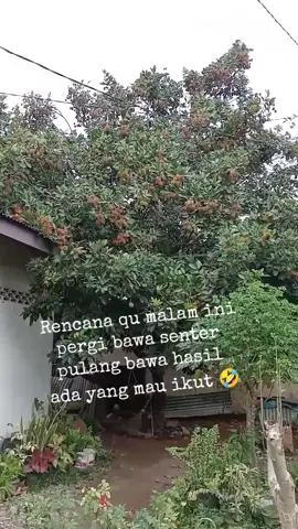Hayo merapat 🤣🤣🤣🤣 #fypシ゚ #fypシ゚viral🖤tiktok #hiburan😘 #viral 