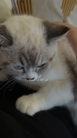 #عشوائيات #مشاعر #بدون_موسيقي 