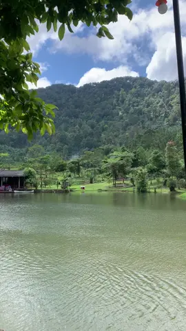 Masyaallah!🌳✨ cisadon, 1 oktober 2025.  #cisadon #cisadontrail 