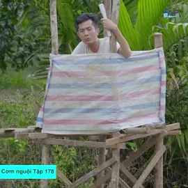 cá nó ko có ăn#xuhuongtiktok #xuhuong #faptv_cơmnguội #faptvteam 