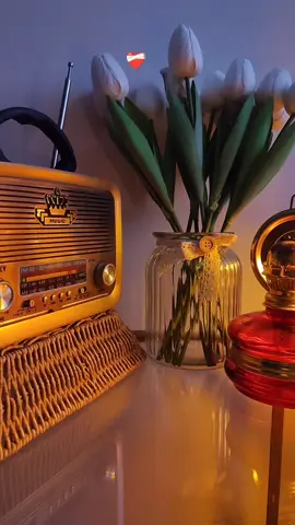 ❤️‍🩹🥀 #viraltiktok #fypシ #foryu #fypg #kesfetbeniöneçıkart 