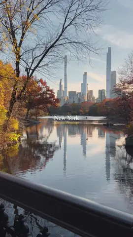 Autumn evenings in New York 🍂🍁 Captured by Cinema SB Autumn in New York #newyork #nyc #newyorkcity #cinemasb 