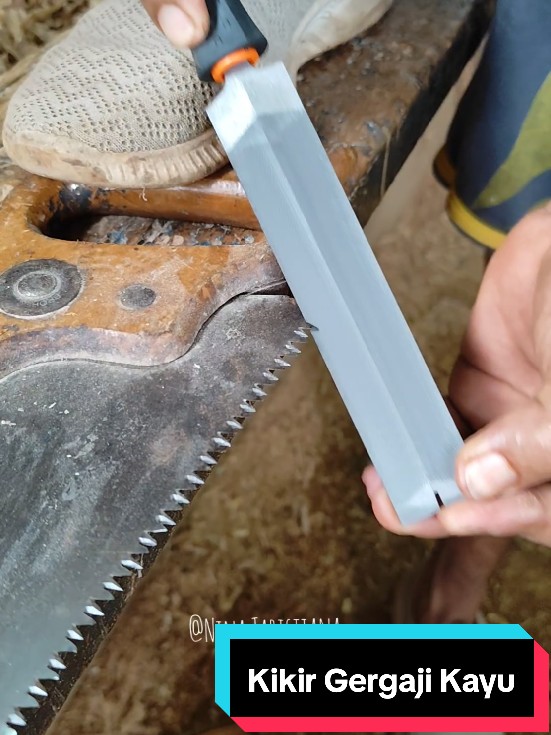 Kikir gergaji yang bikin gergaji  tumpul jadi seperti baru lagi #kikir #kikirgergaji #kikirgergajikayu #kikirjepang #ninataristiana 